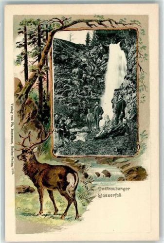 Todtnau Todtnauer Wasserfall Hirsch