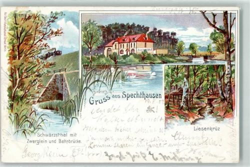16230 O1301 Spechthausen 1902 Lithographie Schwärzetal mit Zwerglein Bahnbrücke Gasthaus Zum Waldhof Liesenkrüz