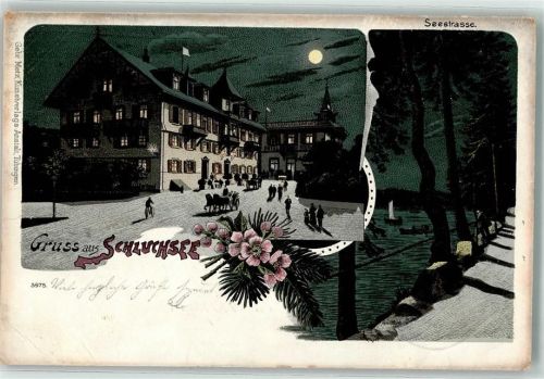 Schluchsee 1899 Seestraße Mond Nacht Ruderboot Kutsche Blumen Gruss
