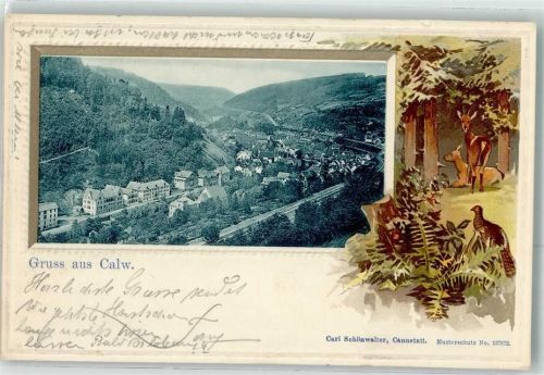 Calw Rehe Fasan
