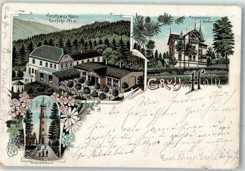 02797 O8806 Hain b Zittau 1905 Lithographie Hochwaldturm Forsthaus Hain Pensionshaus Hütter