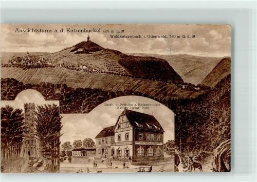 Waldkatzenbach Gasthaus Katzenbuckel Aussichtsturm Hirsch