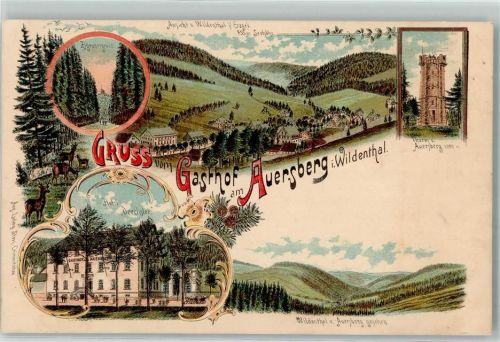 Wildenthal Zigeunergrund Hotel Drechsler Turm v. Auersberg Gasthaus
