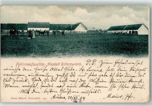 Ritterswörth 1904 Fohlenaufzuchts-Anstalt Ritterswörth Fohlenweide