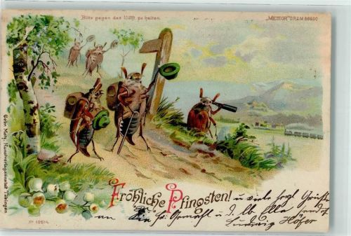 1900 Pfingsten Maikäfer Fernrohr Tiere vermenschlicht Nr 18514