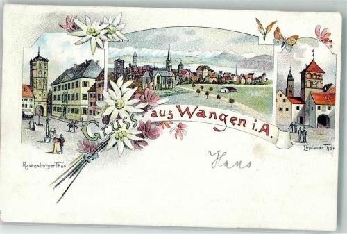 Wangen Ravensburger Tor Lindauer Tor Schmetterlinge Margeriten