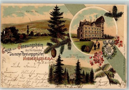 Niederschlema 1900 Genesungsheim Deutscher Handlungsgehülfen Tannenzapfen Wappen