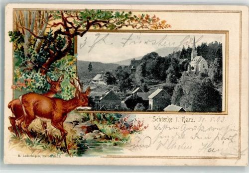 Schierke 1903 Rehbock Reh Waldbach Kapelle Bahnpost Nordhausen- Zg. 4