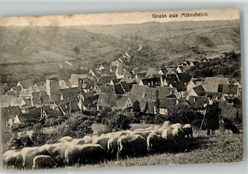 Mönsheim 1924 Schäfer mit Schafeherde