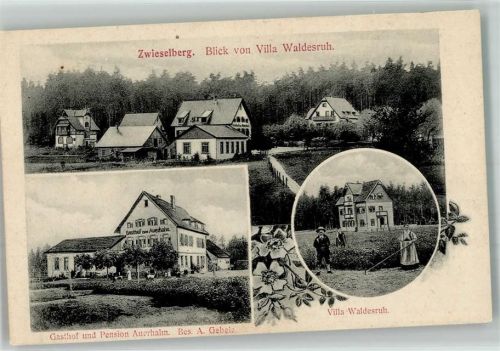 Zwieselberg Blick v. Villa Waldesruh Gasthaus Pension Auerhahn