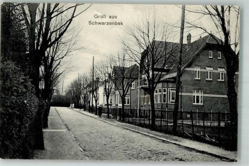 Schwarzenbek 1914 Ortsstraße Villen