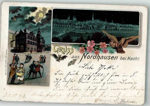 99734 O5500 Nordhausen , Thür 1898 Lithographie Nordhausen bei Nacht Fledermäuse Eule Humor Mondschein