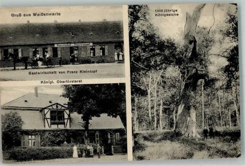 Weißewarte Kgl. Oberförsterei 1000-jähr. Königseiche Gasthaus Kleintopf