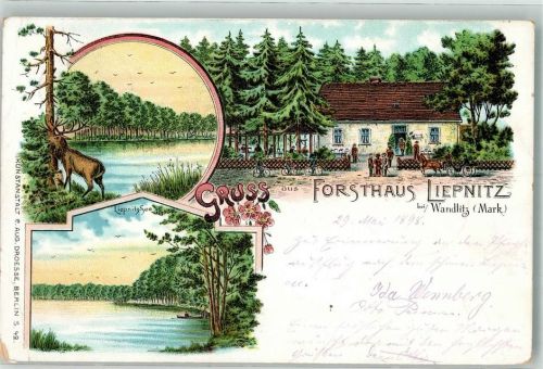 Wandlitz 1898 Liepnitz-See Hirsch Forsthaus Liepnitz