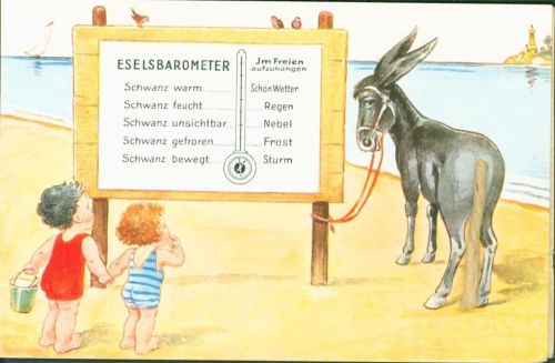 Eselsbarometer Schwanz aus echter Flachskordel