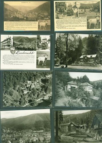 Lambrecht Lot mit 22 AK viele mehrfach