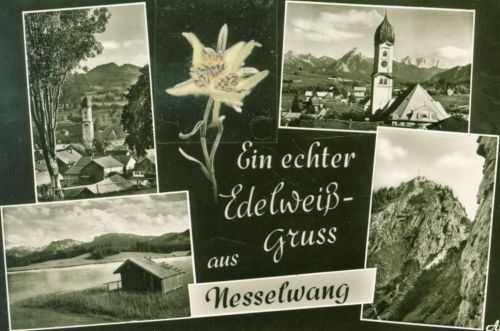 Nesselwang Mehrbildkarte