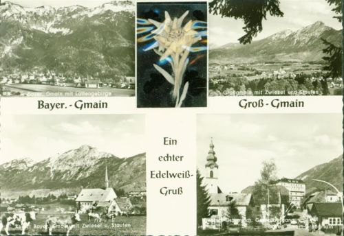 Bayerisch Gmain Applikation echtes getrocknetes gepresstes Edelweiß unter Schutzfolie Lattengebirge Zwiesel Staufen Grenze