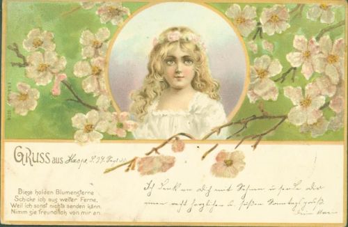Haspe Kirschblüten