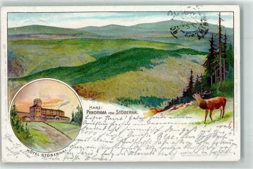 Wieda 1909 Stöberhai Hotel Stöberhai Hirsch