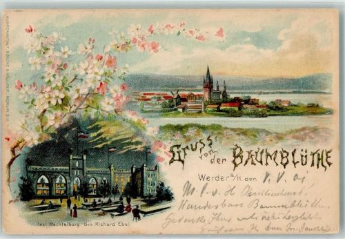 Werder 1901 Baumblüte Gasthaus Wachtelburg Windmühle Bahnpoststempel