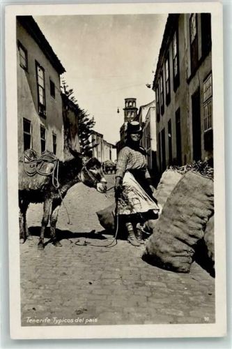 Santa Cruz Typicos del pais Esel Sack Frau Turm