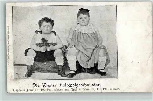 Wiener Kolossalgeschwister