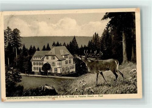 Zwieselberg 1916 Röhrender Hirsch über dem Hotel Pension Hirsch