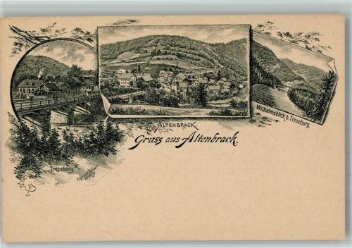 Altenbrak Vorläufer Druck 1880 - 1889 Lithographie Treseburg Wilhelmsblick