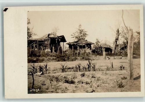 1917 Donga