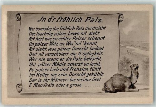 Mannheim Dromedar Spruch Palz Pfalz
