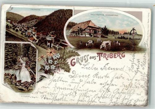 Triberg 1900 Schwarzwälder Bauernhaus Wasserfall Lithographie Verlag Louis Glaser