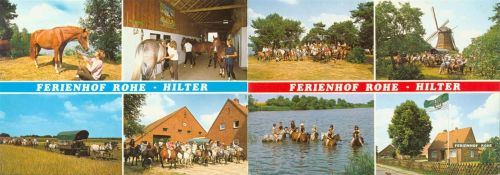 Lathen Ferienhof Rohe Hilter Pferde Kutschen Klappkarte