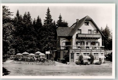 Zwieselberg Schwarzwald-Hotel Tannenhof