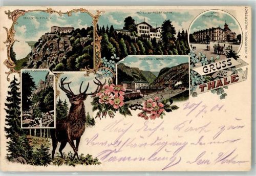 Thale 1901 Hexentanzplatz Teufelsbrücke Hotel Zur Rosstrappe Hotel Zehnpfund Hirsch Bodetal