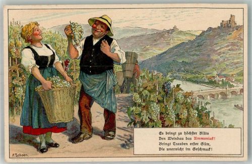 1906 - 1912 Ammoniak sign. F. Schoen , Weinlese