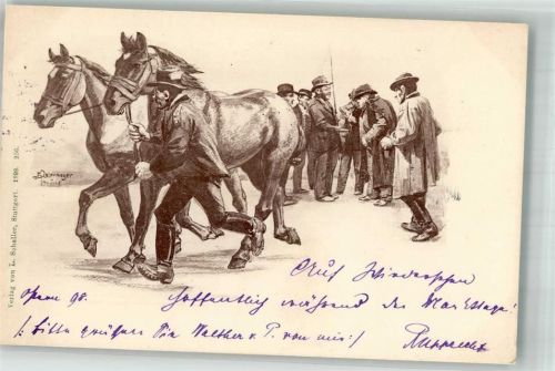 1898 Verlag Schaller Nr. 256 Pferdemarkt sign. Jung Otto Adelskorrespondenz