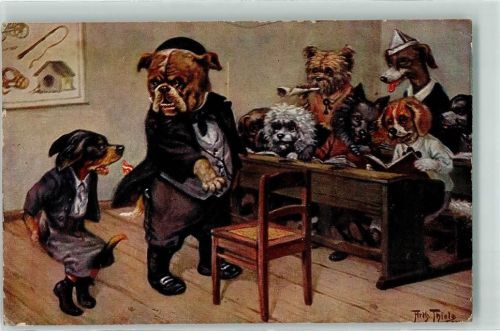 1922 TSN Stroefer Serie 1672 Hundeschule vermenschlicht Dackel