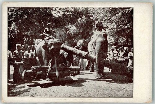 Stellingen 1920 - 1925 Völkerschau Ceylon Arbeits-Elefanten