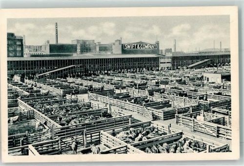 Chicago Swift u. Company Meat Packing House