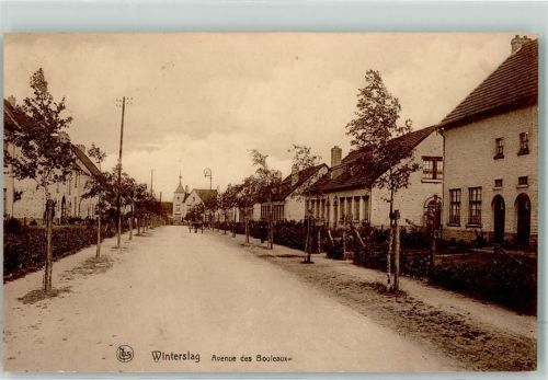 Hasselt Avenue des Bouleaux Winterslag
