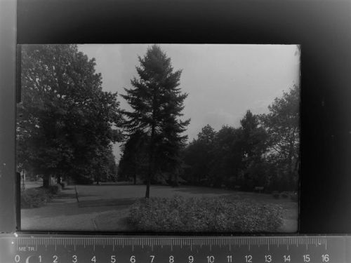 Dissen Park