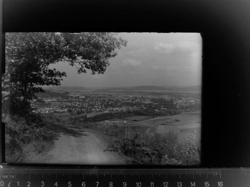 Wittlich