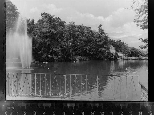 Bad Nauheim Grosser Teich im Kurpark