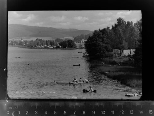 Amecke Partie am Sorpesee