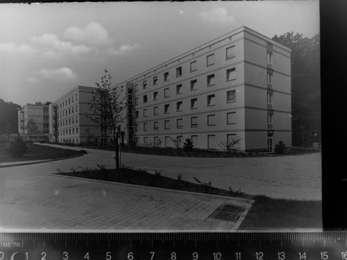 58739 W5757 Wimbern GLASNEGATIV