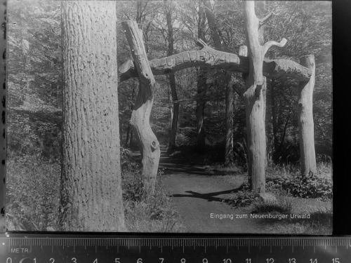 Neuenburg Eingang zum Neuenburger Urwald