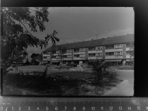Friedrichsfeld
