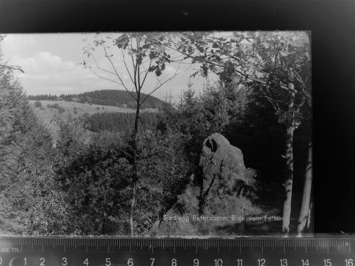 59929 W5790 Brilon GLASNEGATIV Siedlung Petersborn. Blick vom Felsen
