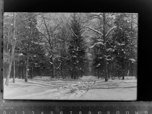 Göhrde Winter-AK